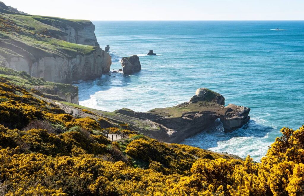 Dunedin coast