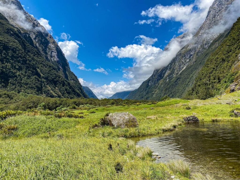 Milford track