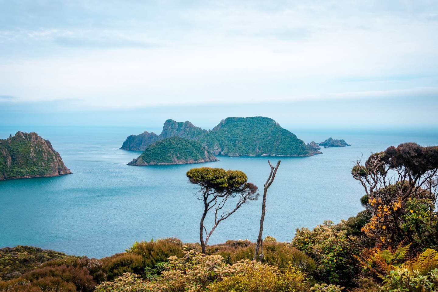 Stewart island