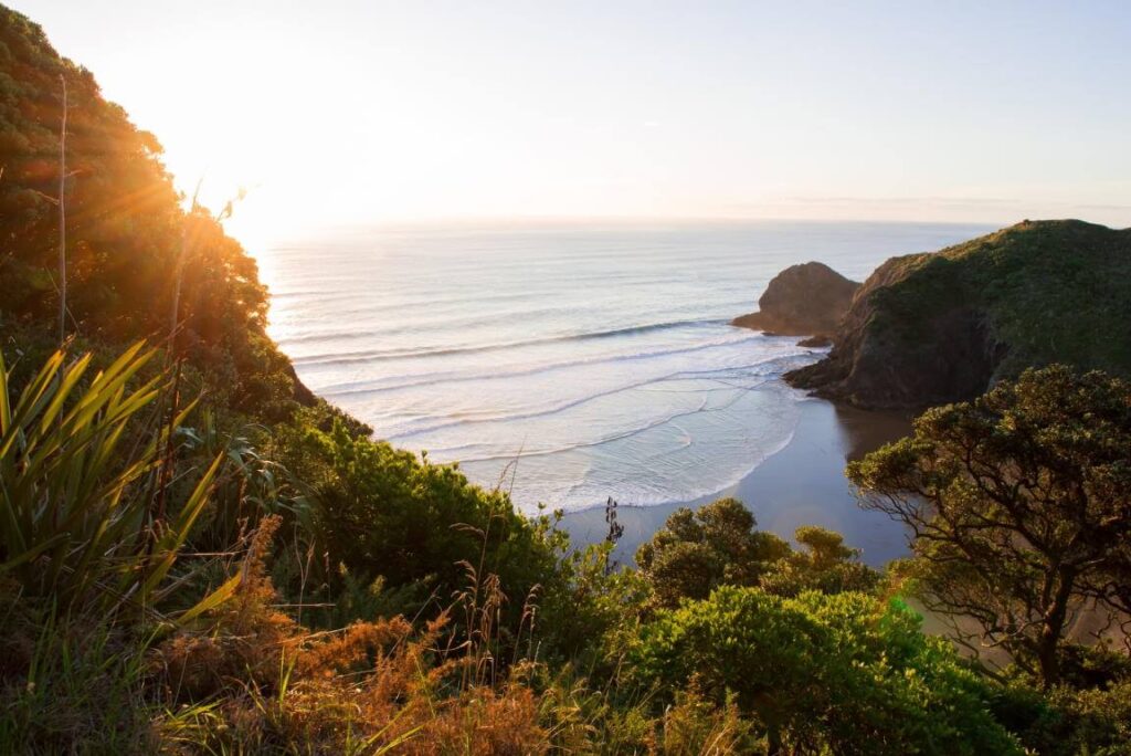 New Zealand beach