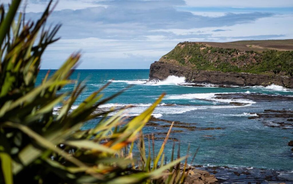 The Catlins