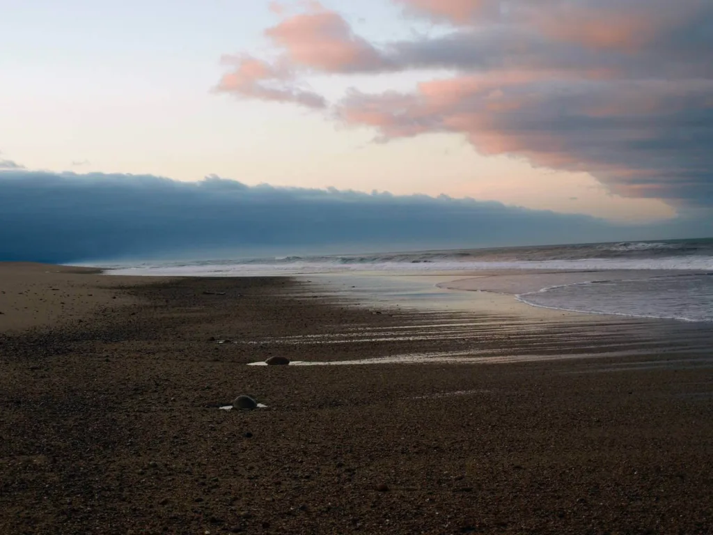 Kahurangi National Park, beach