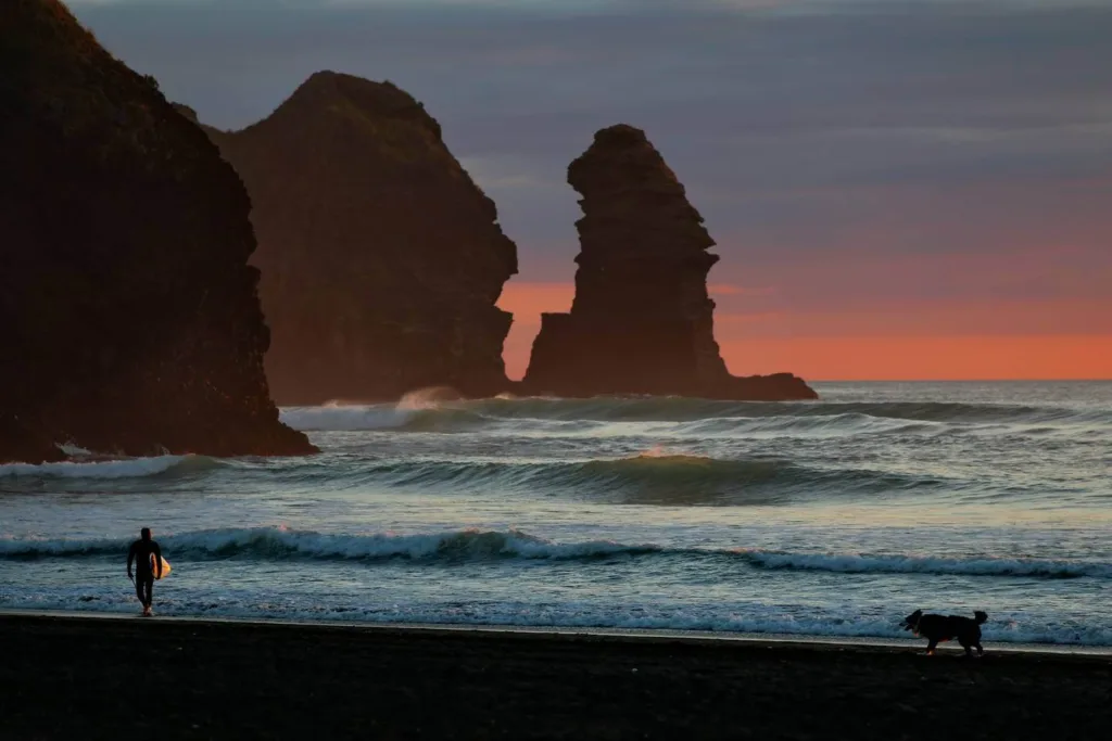 Man and dog in front of ocean, waves and sunset