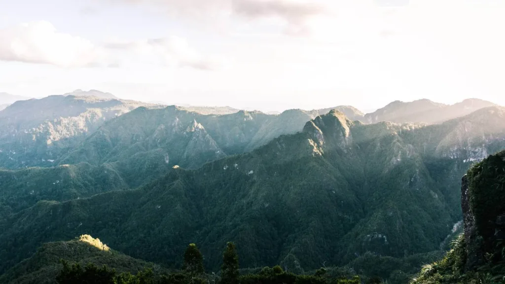 view of The Pinnacles