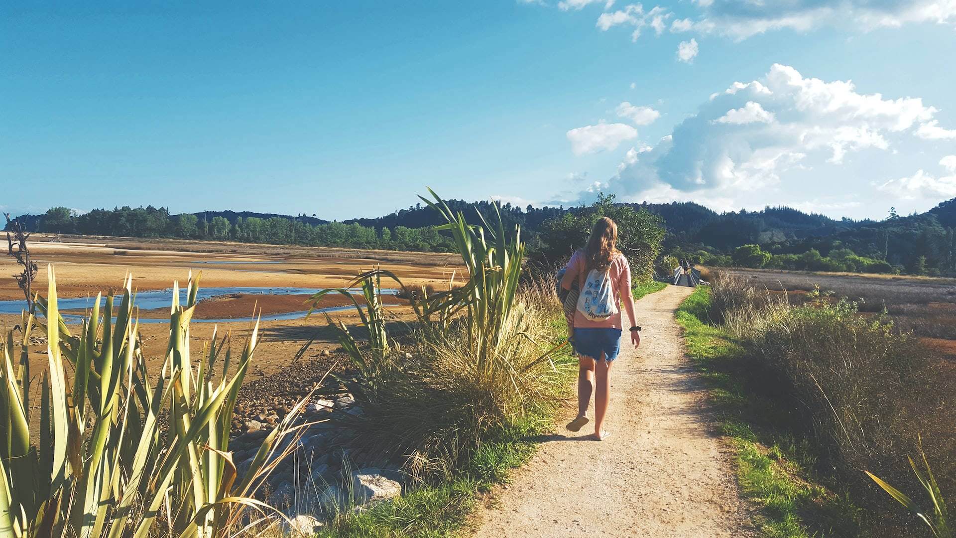 person walking along path