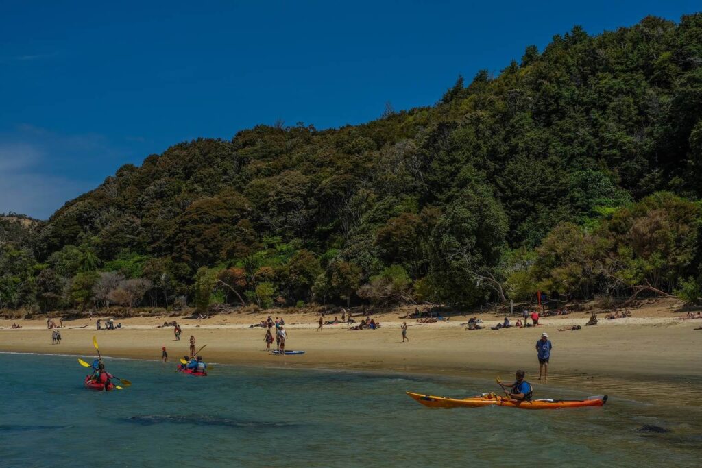 abel tasman kayaking