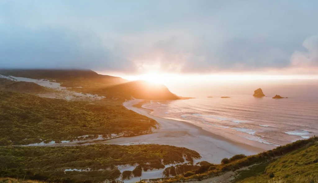 Coast of Dunedin