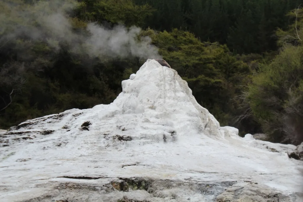 Rotorua geysers